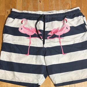 Brooklyn Cloth Pink Flamingos Swim Trunks